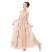 Blush Pink Ruffle Trim Chiffon Dress Chiffon Flower Girl Dress 324