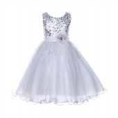 Silver Glitter Sequin Tulle Flower Girl Dress Pretty Princess B-011